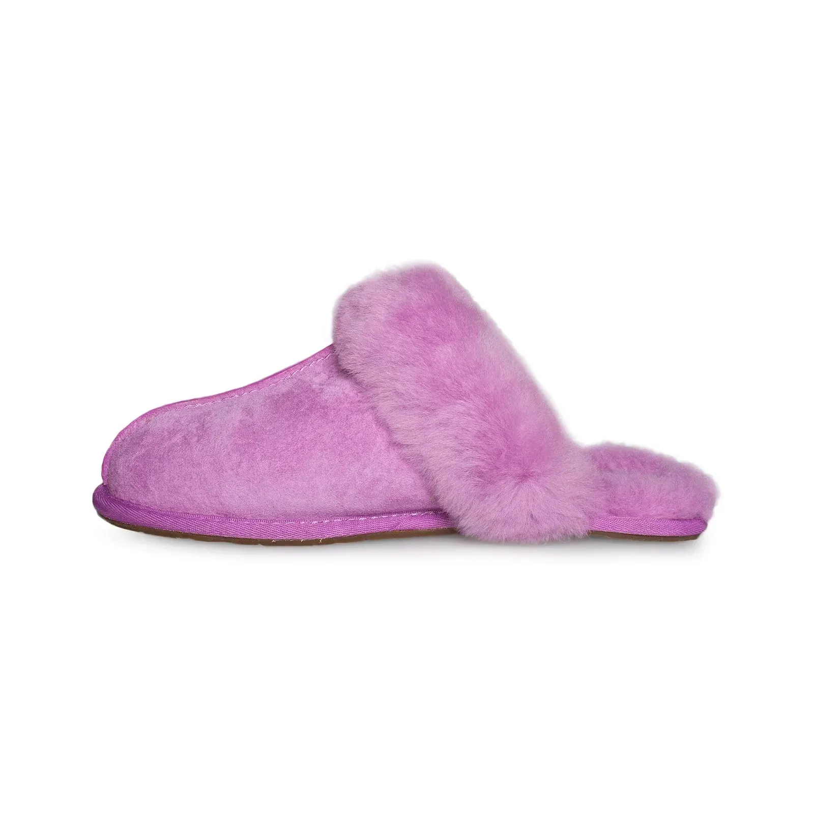 UGG Scuffette II Bodacious Slippers - Women's